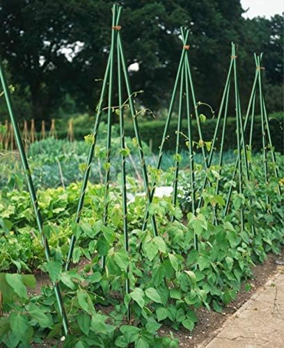 2ft Garden Stakes 1/4”Dia Plant Stakes for Climbing Plants Supports Poles Rust-Free Plant Sticks Fence Post, Dark Green (20 rods)