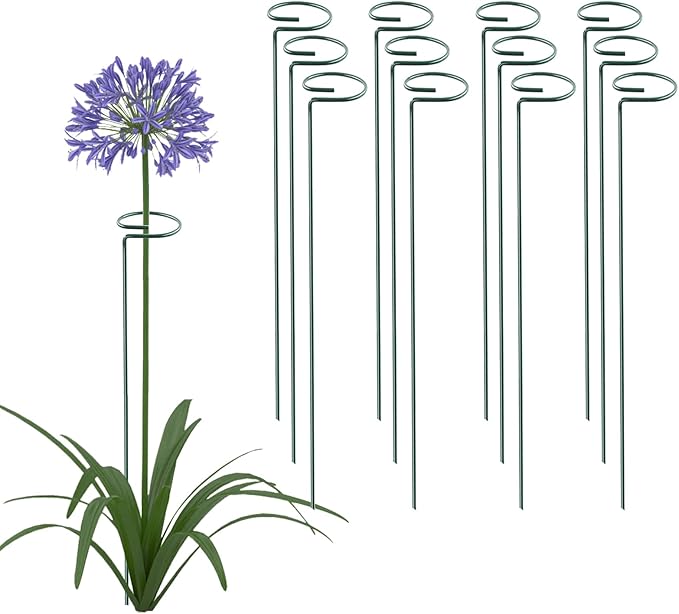 12 Pack 18 Inch Plant Support Stakes, Metal Single stemmed Flower Support Hoops，Garden Plant Stakes Plant Prop for Amaryllis Orchid Lily Rose Peony Tomatoes Gladiolus