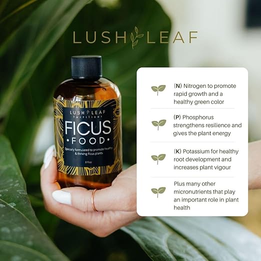 Lush Leaf | Plant Food (Ficus)