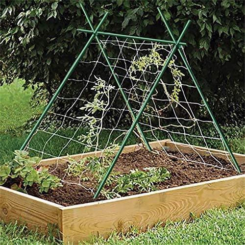 48inch Plant Stakes 10pack, 1/2 Inch Dia Garden Stakes, Garden Poles Tree Stake Cucumber Potato Stake Fence Stake Never Rust, 4ft Long