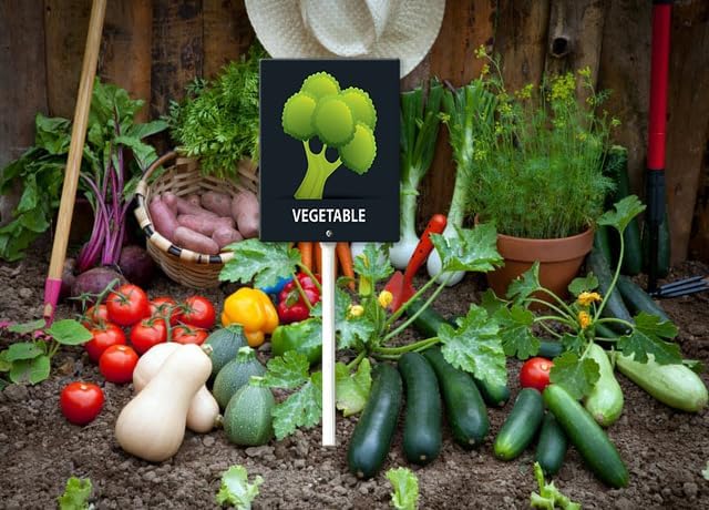 Eveokoki Aluminum Seed & Plant Labels - Plant Markes for Seedlings-Plant Tags for Pots - Garden Signs for Vegetable - Durable Markers for Plants Outdoor Waterproof - Garden Decor for Farmhouse