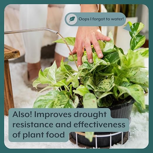 Instant Plant Support | Soil ProBiotics & Mycorrhizae for Houseplants and Indoor Gardens | No Odor - No Dust - No Mess | Package of 4 Tablets