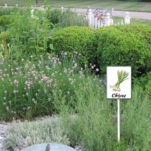 FemiaD Plant Label Signs Planted Herb Garden Markers Waterproof Aluminum Plant Stake Tags Chives Sign for Nursery Indoor Outdoor Garden Decoration 8x12inch