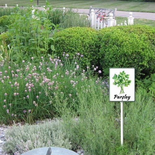 FemiaD Plant Label Signs Planted Herb Garden Markers Waterproof Aluminum Plant Stake Tags Parsley Sign for Nursery Indoor Outdoor Garden Decoration 4.6x6inch