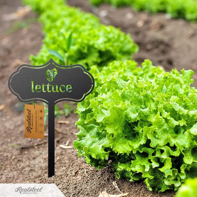 RealSteel - Seed & Plant Markers - Indoor/Outdoor Herb Garden Stakes - Elegant Fruit/Vegetable Seed Labels - Durable Plant Tags for Pots - Classy Design for Farmhouse/Greenhouse (Asparagus)