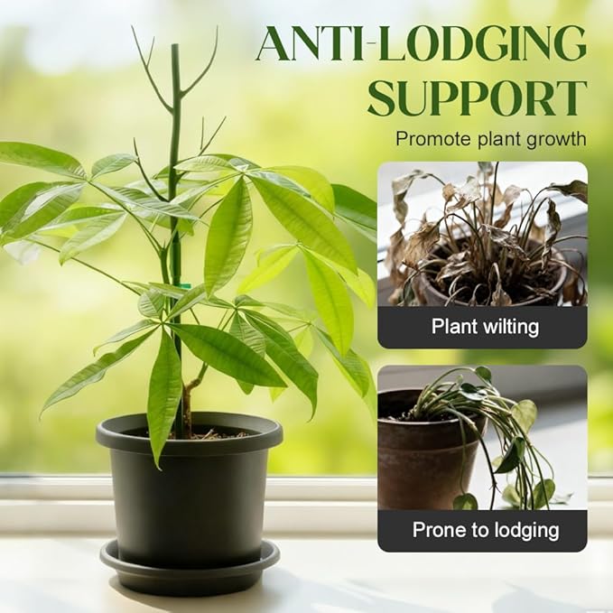 Monstera Plant Support, Adjustable and Stackable Garden Plant Support Stakes with Clamps for Indoor Outdoor Plants, Suitable for Supporting Monstera and Climbing Plants (5 Pack)