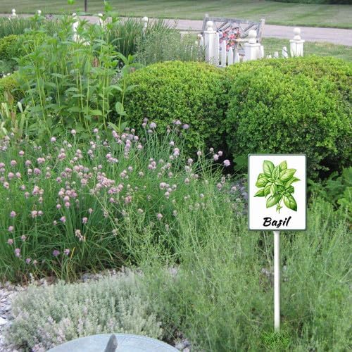 FemiaD Plant Label Signs Planted Herb Garden Markers Waterproof Aluminum Plant Stake Tags Basil Sign for Nursery Indoor Outdoor Garden Decoration 7x8.8inch