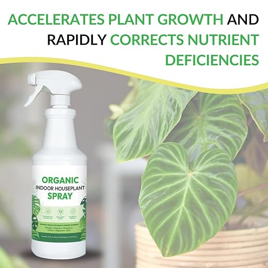 Organic Indoor Houseplant Spray - Liquid Plant Food in a Spray Bottle (Foliar Fertilizer) | Use on All Live Indoor Plants, Orchids, and Succulents | No Mixing Required (32oz)