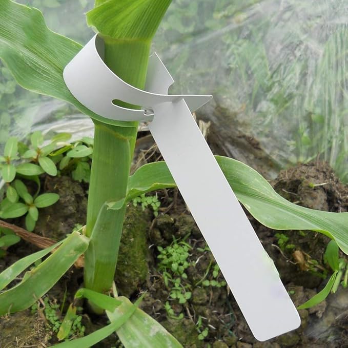 Mziart 200Pcs Plastic Plant Labels Wrap Around Tree Tags, Adjustable Nursery Garden Labels Plant Tags with Large Writing Surface, White