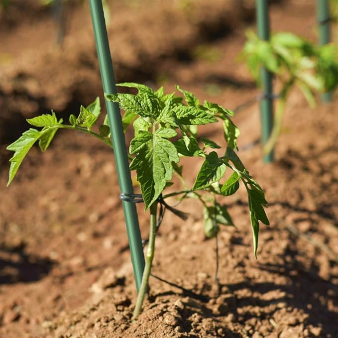 Garden Stakes 5/16" Dia, 5 FT FRP Plant Supporting Stakes for Climbing Tomato Cucumber Strawberry Bean Tree, Pack of 20, Dark Green