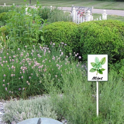 FemiaD Plant Label Signs Planted Herb Garden Markers Waterproof Aluminum Plant Stake Tags Mint Sign for Nursery Indoor Outdoor Garden Decoration 4.6x6inch
