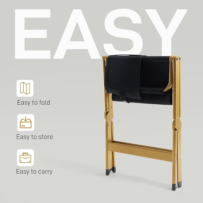 EVER ADVANCED Aluminum Directors Chair, Folding Studio Movie Chairs Camping Event Vendor Chair, 19" Seat Height Black Fabric/Golden Frame, Support 350lbs