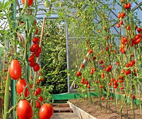 Plant Stakes 48inch 20pack, 1/2inch Diameter Garden Stakes, Garden Poles Tree Stake for Cucumber Potato Fence, Never Rust, 4ft Long