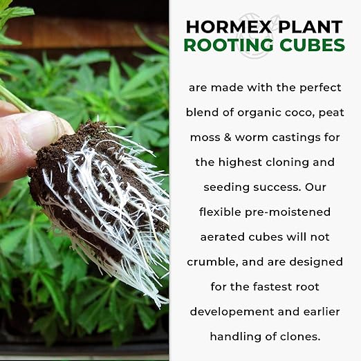Hormex Rooting Powder #8 & Rooting Cubes Combo - Rooting Hormone for Semi-Hardwood Cuttings & Organic Peat Moss Coco Plugs - Fast, Healthy Root Growth for Propagation, Hydroponics, & Seed Starting