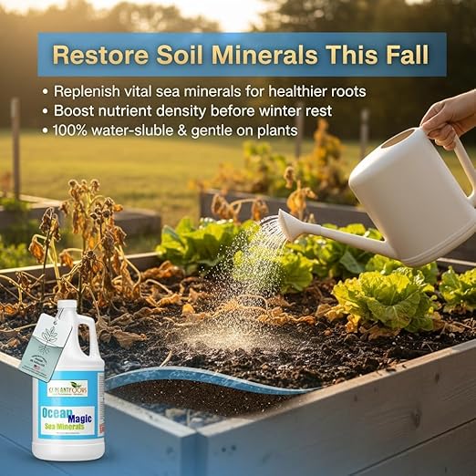 Ocean Magic Sea Mineral Fertilizer by GS Plant Foods(1 Gallon) - Soil Mineral Health Improvement Liquid Concentrate - Sea Minerals for Lawn and Turf, Gardens & House Plants