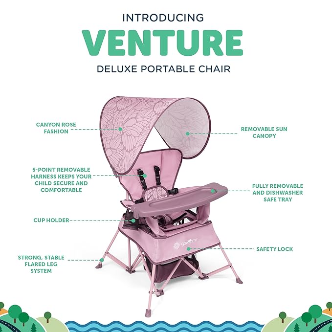 Baby Delight Go with Me Venture Portable Chair | Indoor and Outdoor | Sun Canopy | 3 Child Growth Stages | Canyon Rose