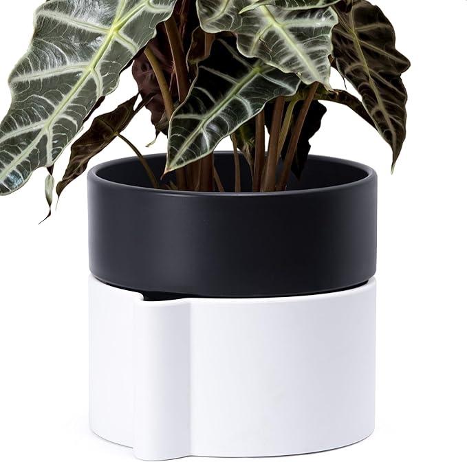 8 Inch Self-Watering Planter Pot with Terracotta Insert, Deep Water Reservoir, and Ceramic-Alike BPA-Free Plastic Planter Pot for Plant, Modern Planter for Houseplants, White/Black, 53-B-T-4