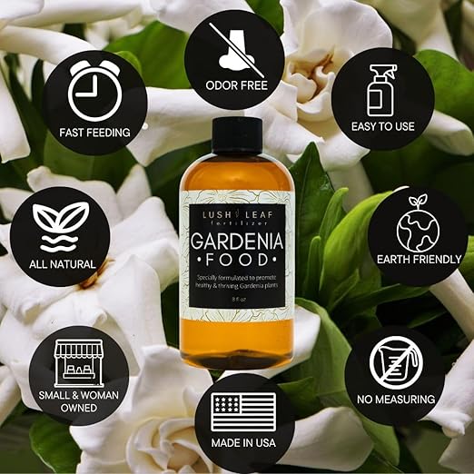 Lush Leaf | Plant Food (Gardenia)
