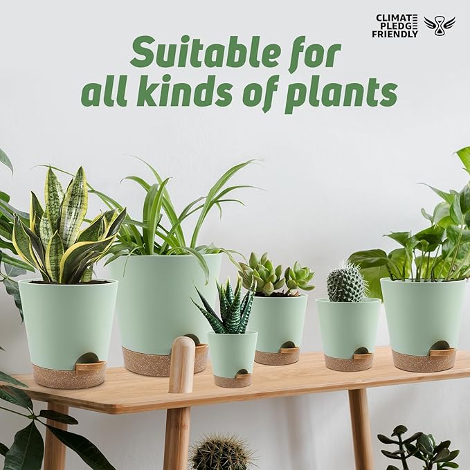 Indoor Self Watering Planters with Drainage Holes and Saucers, 8, 7, 6.5, 6, 5.5, 5 Inches, Green, 6 Pots.