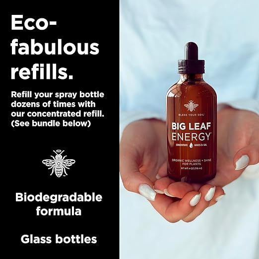 Big Leaf Energy (16 FL OZ, Glass) Organic Neem Oil Plant Spray with Essential Oils : Natural Plant Wash for Indoor Houseplants and Outdoor Gardens