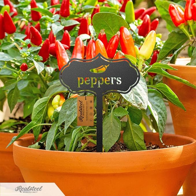 RealSteel - Seed & Plant Markers - Indoor/Outdoor Herb Garden Stakes - Elegant Fruit/Vegetable Seed Labels - Durable Plant Tags for Pots - Classy Design for Farmhouse/Greenhouse (Cabbage)