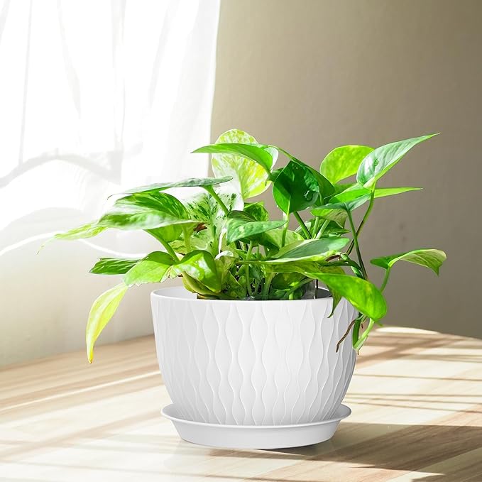 Plant Pots 12/10/9 Inch Pots, Set of 3 Plastic Planters with Drainage Holes and Saucers,Plastic Flower Pots,Nursery Planting Pot for Indoor Out Door Plants（White）