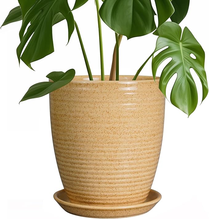 Pot for Plants 8 Inch - Ceramic Planter Indoor Plant Pot with Drainage Hole and Saucer Planter for Outdoor Plants Round Flower Pot for Home Patio Garden Office Decor Yellow