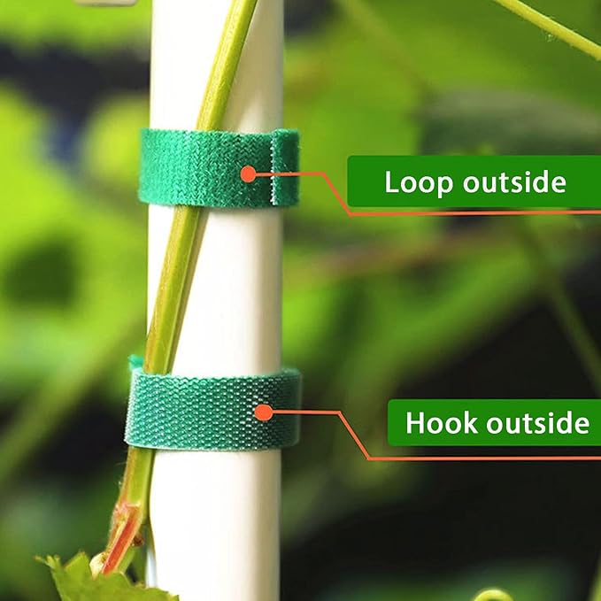 IFNOW Hook and Loop Tape Cable Ties Reusable Fastening Tape Garden Tie Strap Plant Supports Gentle on Plants Plant Ties Garden Tape for Plant (2, Green-0.4in)