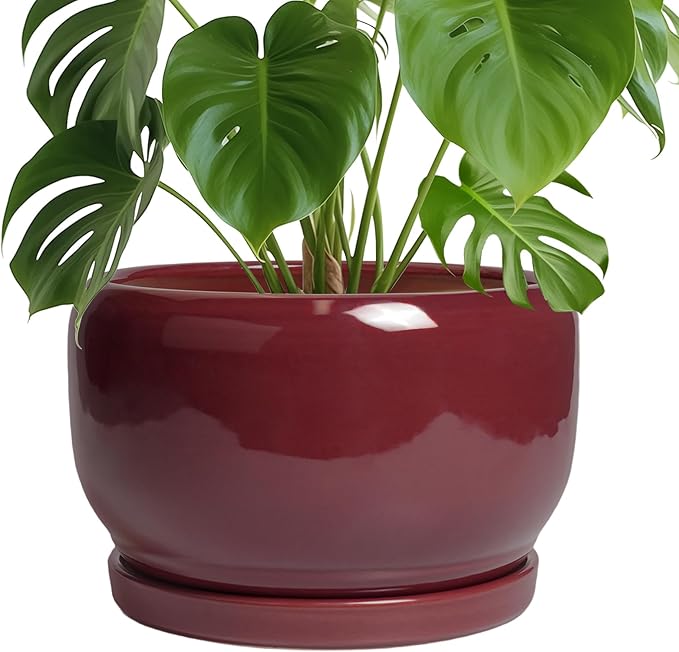 SQOWL Ceramic Pot for Plants - 10 Inch Indoor Planter with Drainage Hole and Saucer, Round Modern Planter Outdoor, Decorative Large Plant Pot for Flower, Living Room Decor, Garden Gifts, Red