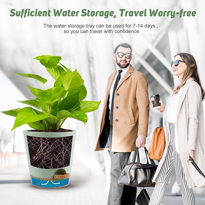 Indoor Self Watering Planters with Drainage Holes and Saucers, 8, 7, 6.5, 6, 5.5, 5 Inches, Green, 6 Pots.
