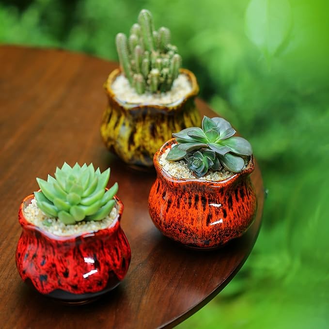 Cute Ceramic Succulent Planters, Garden Pots with Drainage and Attached Saucer, Set of 6 - Plants Not Included