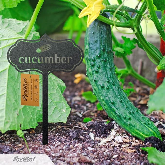 RealSteel - Seed & Plant Markers - Indoor/Outdoor Herb Garden Stakes - Elegant Fruit/Vegetable Seed Labels - Durable Plant Tags for Pots - Classy Design for Farmhouse/Greenhouse (Watermelon)