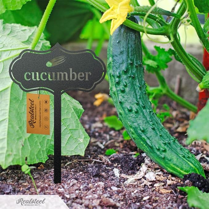 RealSteel - Seed & Plant Markers - Indoor/Outdoor Herb Garden Stakes - Elegant Fruit/Vegetable Seed Labels - Durable Plant Tags for Pots - Classy Design for Farmhouse/Greenhouse (Artichoke)