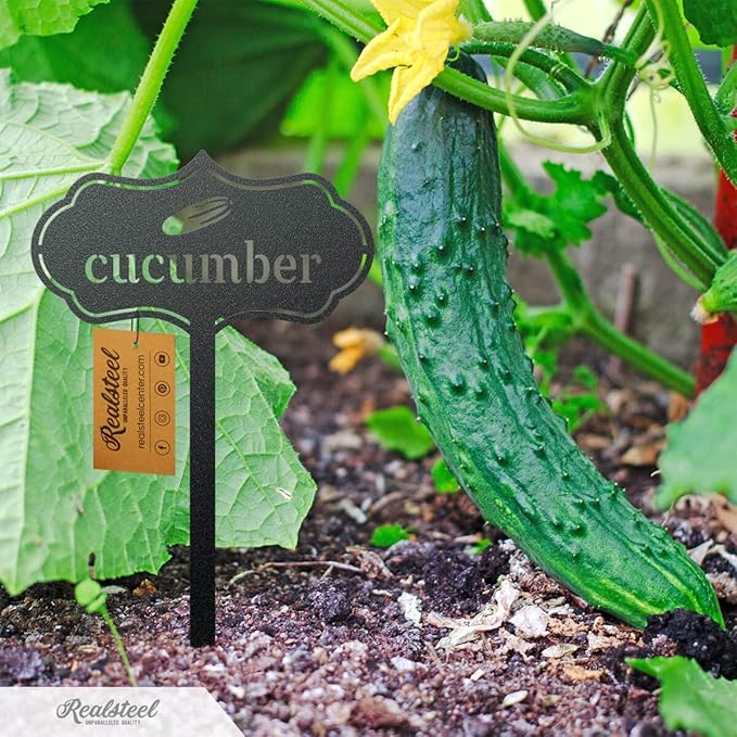 RealSteel - Seed & Plant Markers - Indoor/Outdoor Herb Garden Stakes - Elegant Fruit/Vegetable Seed Labels - Durable Plant Tags for Pots - Classy Design for Farmhouse/Greenhouse (Asparagus)