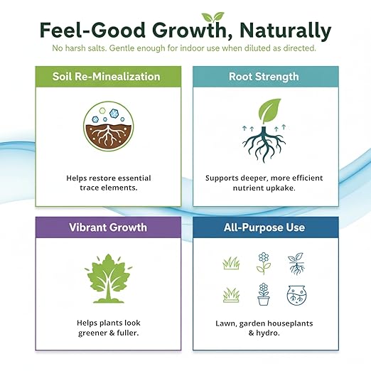 Ocean Magic Sea Mineral Fertilizer by GS Plant Foods(1 Gallon) - Soil Mineral Health Improvement Liquid Concentrate - Sea Minerals for Lawn and Turf, Gardens & House Plants