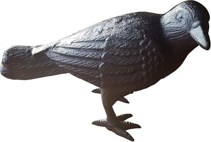 NACH Cast Iron Crow Statue, Head to Side Raven, Large Garden Statues, Crow Garden Sculpture, Bird Figurines Home Decor, Crow Decor, Raven Decor, Black Bird Statue, 4 x 11 x 6.5 inches, JS-90-7115
