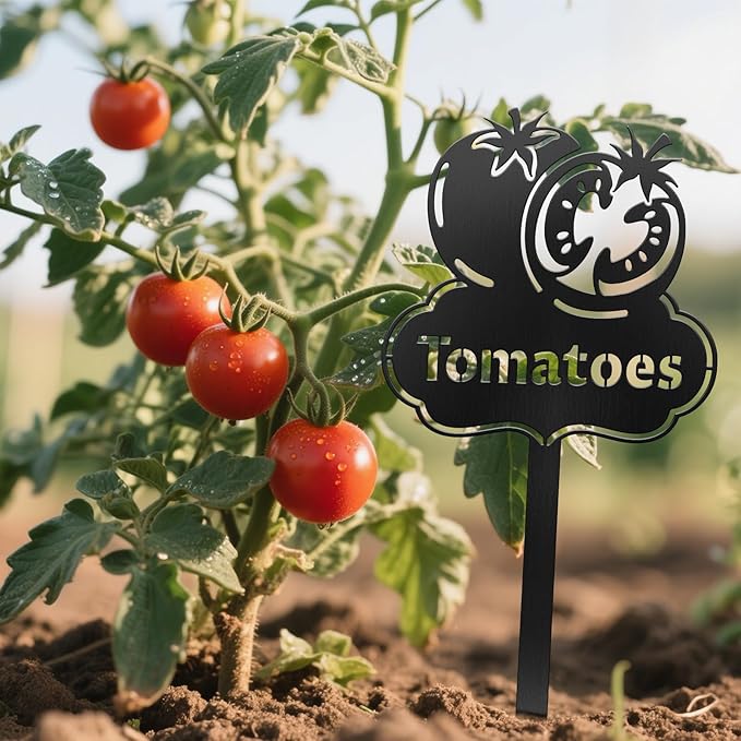 CUTHOLLOW Metal Plant Marker Stake Tomatoes for Outdoor Indoor, Waterproof 11.8 inch Cute Garden Plant Labels Sign Tag for Vegetables, Farmhouse Greenhouse Decor - Funny Gardening Gifts