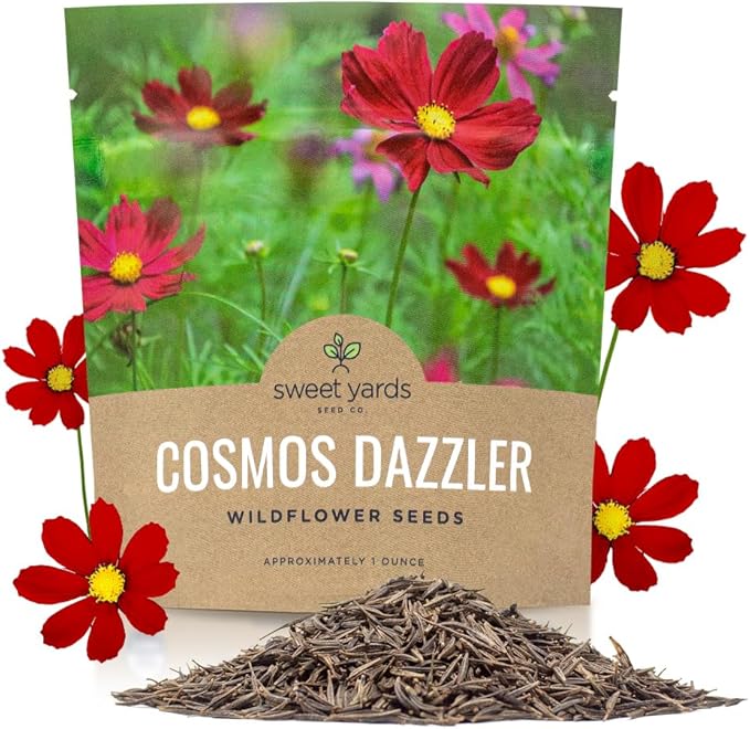 Dazzler Cosmos Wildflower Seeds - Extra Large 1 Ounce Packet - Over 5,000 Fresh Open Pollinated Non-GMO Flower Seeds - Stunning Bright Petals - Drought Tollerant