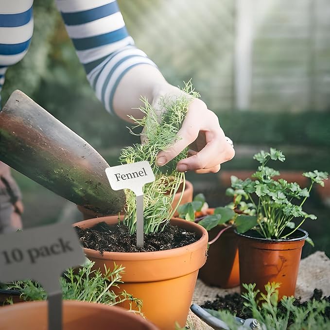 Stainless Steel Plant Labels,Metal Waterproof Plant Markers, Height 12.75 in, Label Area 2.5 in*1.25 in resuable Nursery Tags for Vegetables herb Flower Seed Green House 10-Pack