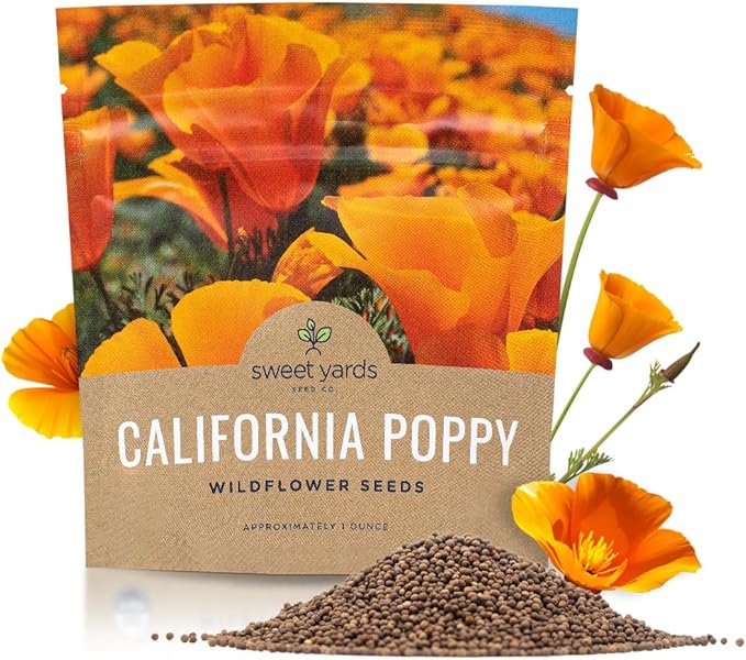 California Orange Poppy Wildflower Seeds - Bulk 1 Ounce Packet - Over 20,000 Native Seeds - California State Flower!