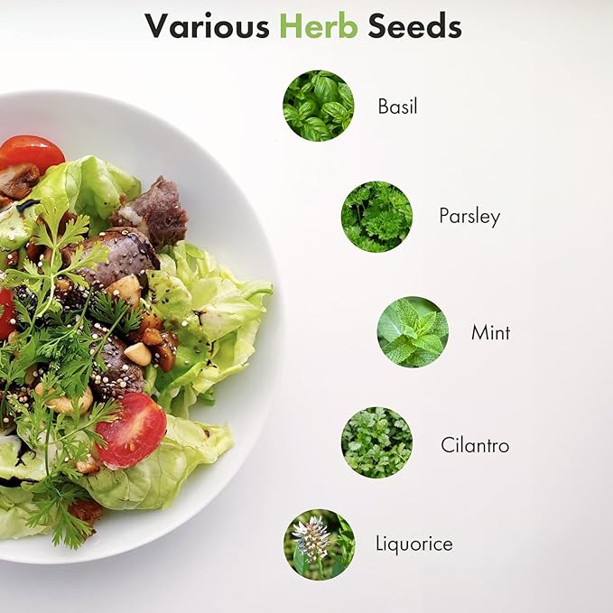 LYKOCLEAN Gourmet Herb Seeds Pod Kit for AeroGarden, idoo, Ahopegarden, MUFGA Hydroponics Garden Include Cilantro, Basil, Parsley, Mint, Liquorice, 7-Pods, 350+ Seeds