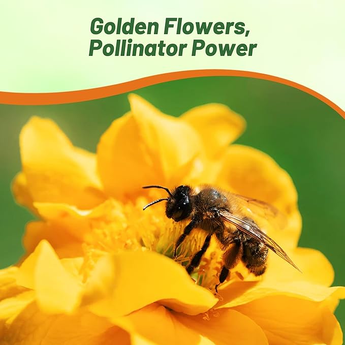 Outsidepride Lady Stratheden Geum Seeds - 1000 Pcs Easy to Grow Perennial Flower Seeds for Planting with Vibrant Blooms Attractive to Pollinators, for Cut Flower Arrangements, Borders, & Flower Beds