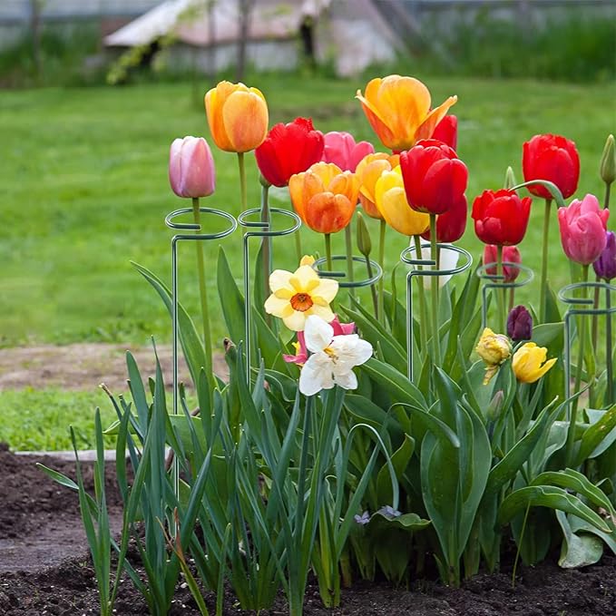 12 Pack 16 Inch Plant Support Stakes, Metal Single stemmed Flower Support Hoops，Garden Plant Stakes Plant Prop for Amaryllis Orchid Lily Rose Peony Tomatoes Gladiolus