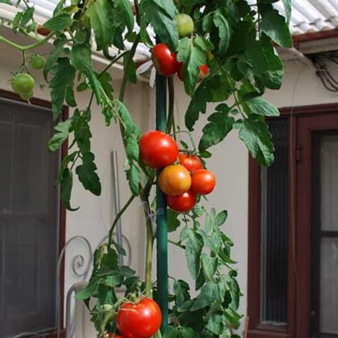 Xiny Tool Garden Stakes, 25 Pack Steel Plant Garden Tomato Stakes with Plastic Coat for Climbing Plants (25 Pack 58 Inch)