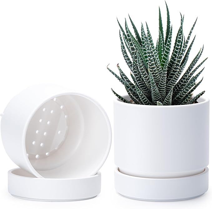 Phoenix Vine 4 Inch Planter Pot with Drainage Hole & Saucer, Deep Water Catch Tray, Straight Cylindrical Round Pot for Plants, Matte White, Pack of 2, 23-B-R-2