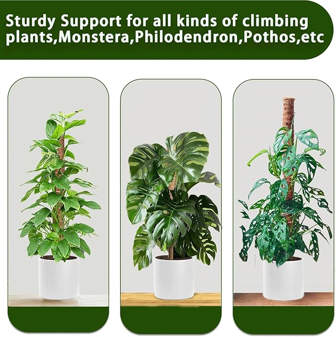Moss Pole, 4Pack 21 Inch Plant Support Stakes for Indoor Plants, Monstera Plant Support Stakes, 69 Inch Tall Coir Plant Pole Sticks for Potted Plants, Pothos, Philodendron, Climbing Plants Accessories