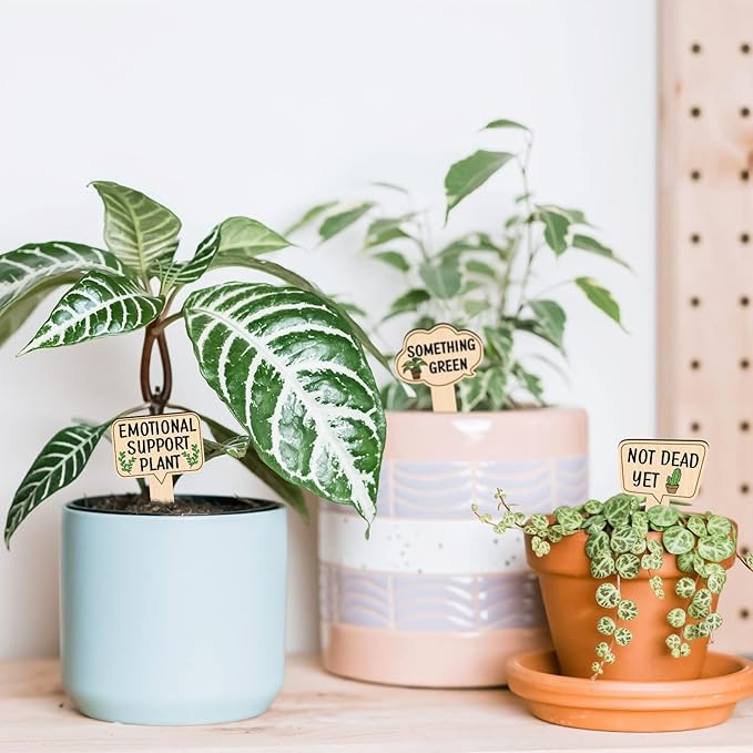 Huray Rayho Funny Wooden Plant Markers for Succulent Flowers Greenery Plants Tags 15-Pack Waterproof Wood Plant Labels Outdoor Indoor Patio Supplies Garden Stakes for Potted Plant Novelty Gifts