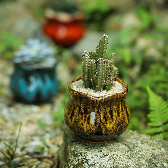 Cute Ceramic Succulent Planters, Garden Pots with Drainage and Attached Saucer, Set of 6 - Plants Not Included
