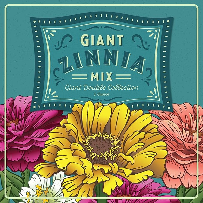 Zinnia Seeds for Planting Outdoors – 3,000 California Giant Mix Zinnia Seeds – 4 ft Tall Zinnia elegans Annuals – Bright Wildflower Blooms Attract Pollinators – Heirloom Garden Flower Seed Packet