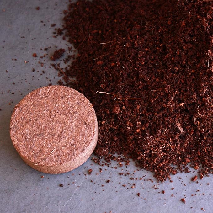 Minute Soil - Compressed Coco Coir Fiber Grow Medium - 60 MM Disks - 10 Pack = 5.5 Quarts of Potting Soil - Indoor Container Gardening: Seed Starting, Plants, Herbs, More - Just Add Water - OMRI